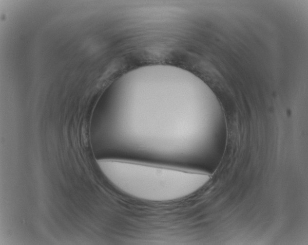 X0000071350131200606230811