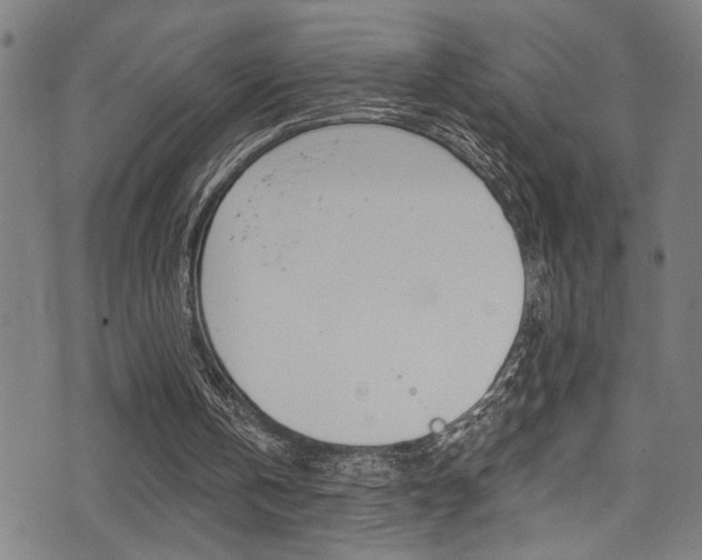X0000071350146200606230810