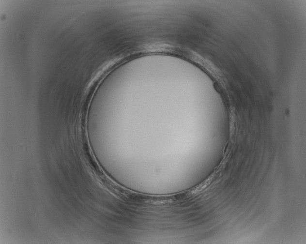 X0000071350155200606230810