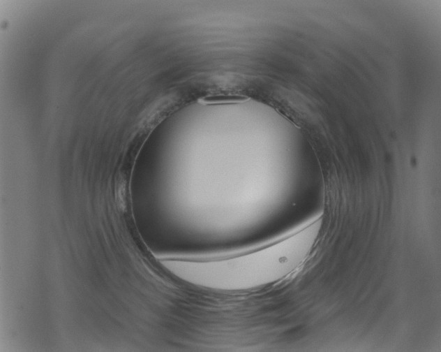 X0000071350188200606230811