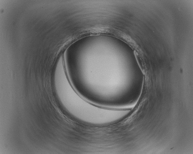 X0000071350201200606230810