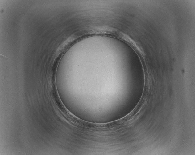 X0000071350203200606230810