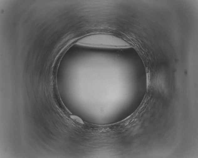 X0000071350243200606230809