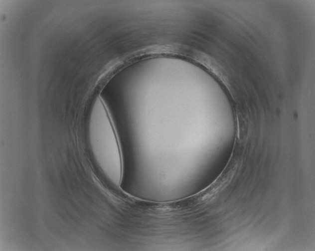 X0000071350253200606230809