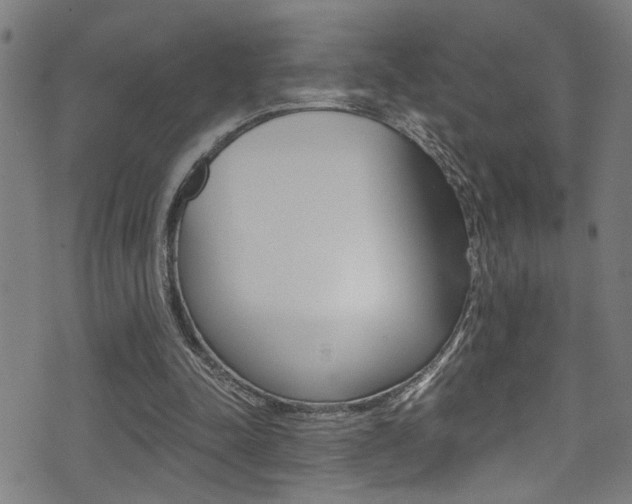 X0000071350342200606230807