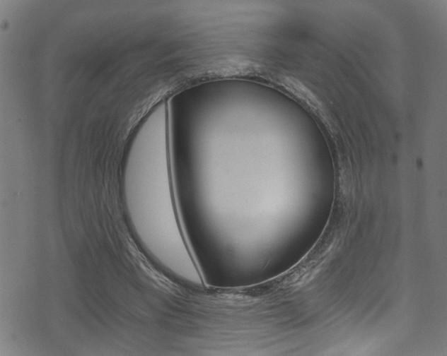 X0000071350393200606230807