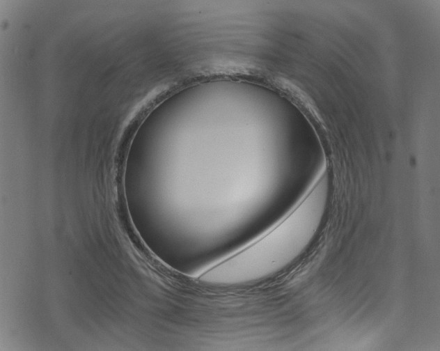 X0000071350395200606230807
