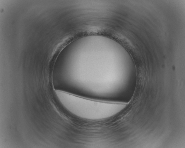X0000071350496200606230805
