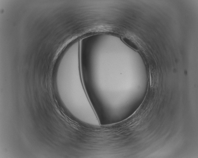X0000071350531200606230804