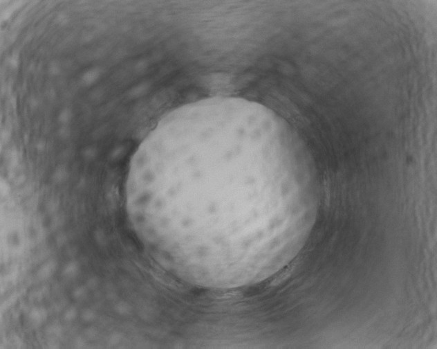 X0000071350618200606230803