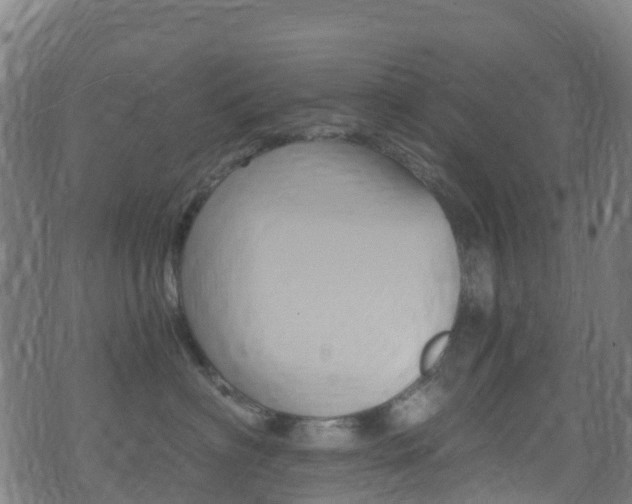 X0000071350622200606230803