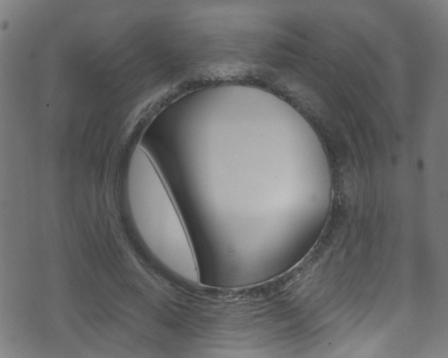 X0000071350640200606230803