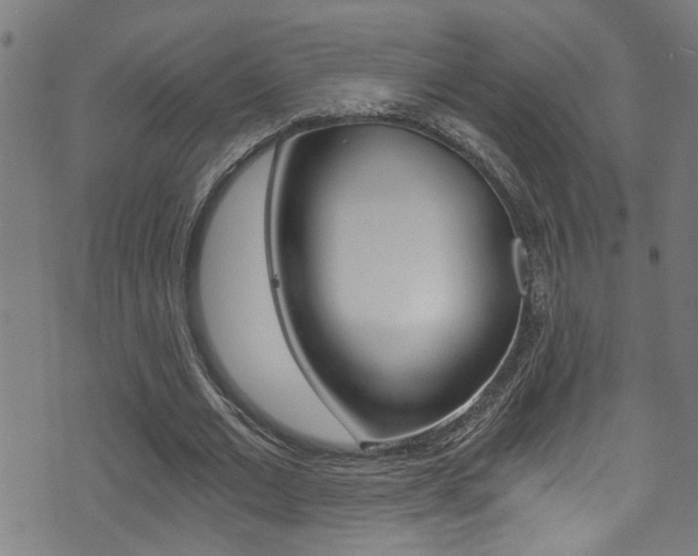 X0000071350677200606230802