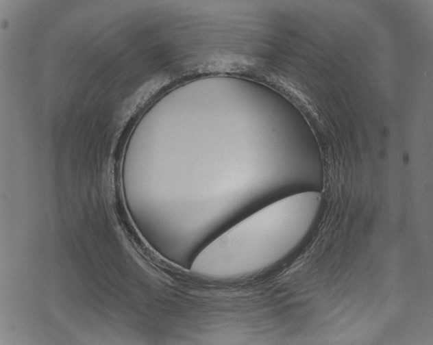 X0000071350678200606230802