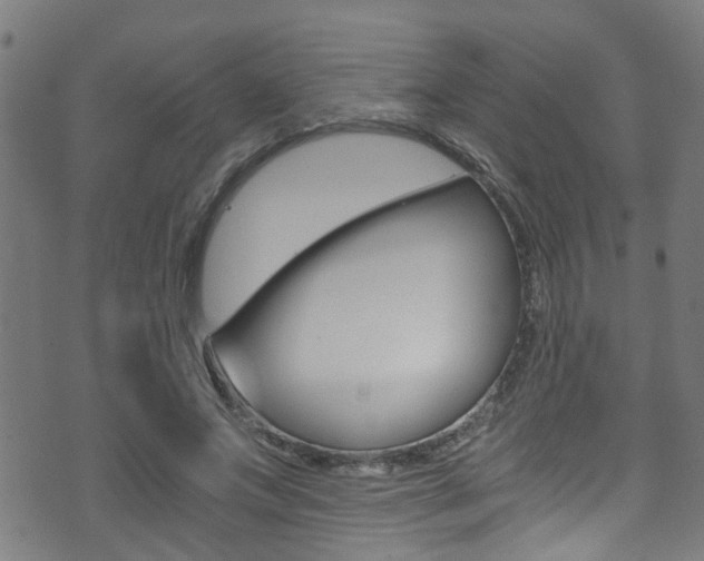 X0000071350687200606230802