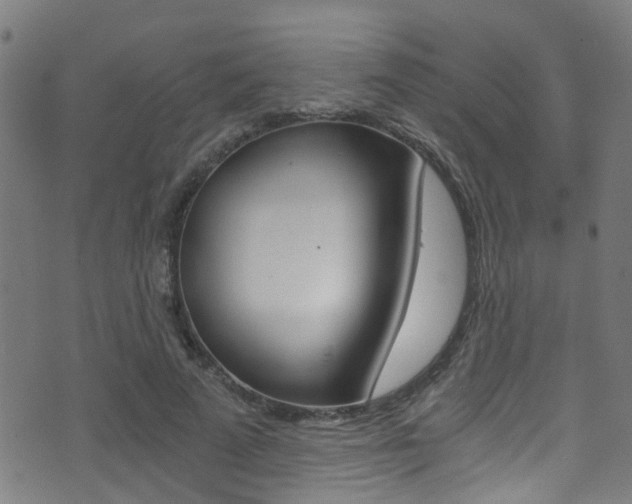 X0000071350689200606230802