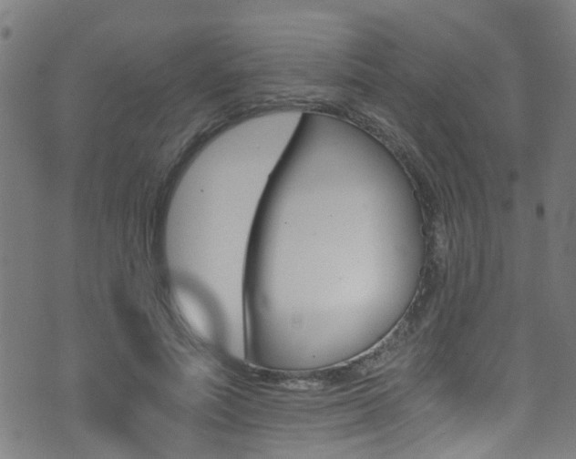 X0000071350691200606230802