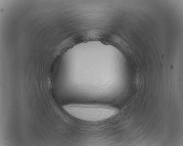 X0000071350715200606230802