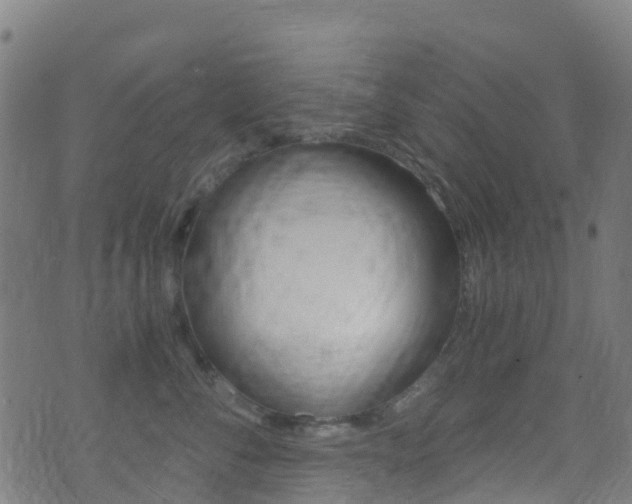 X0000071350716200606230802