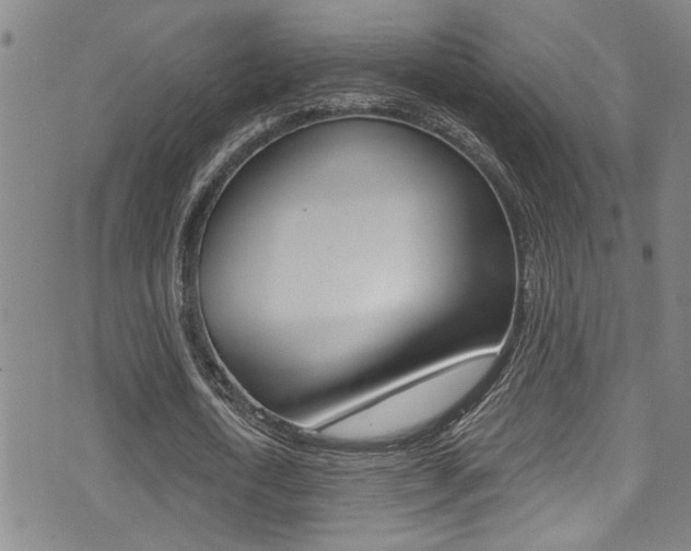 X0000071350722200606230801