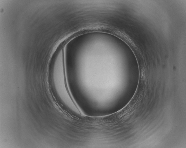 X0000071350724200606230801