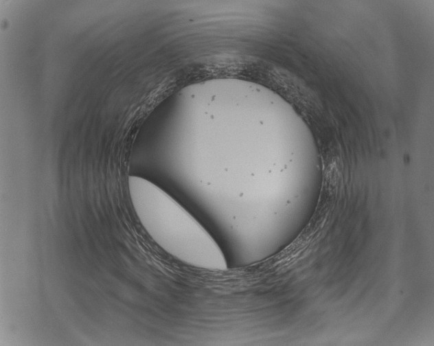 X0000071350772200606230801