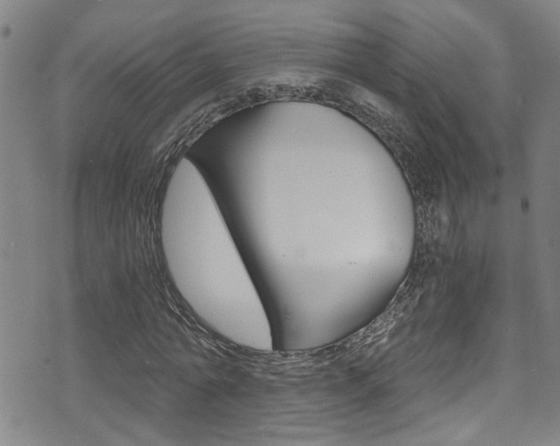 X0000071350774200606230801