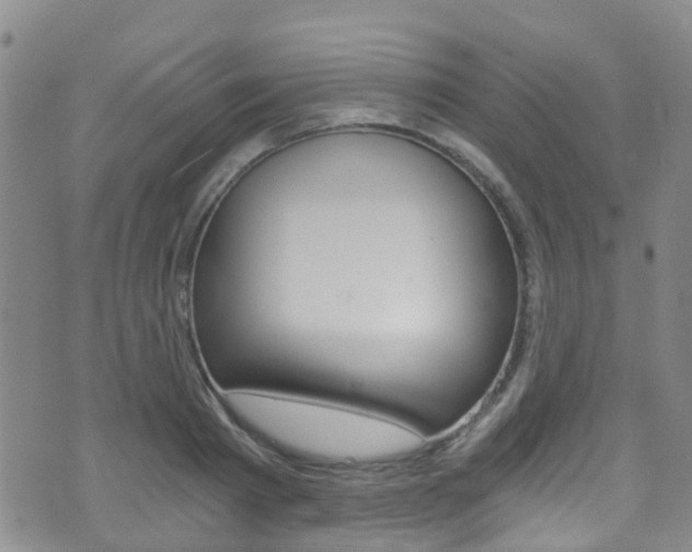 X0000071350793200606230801
