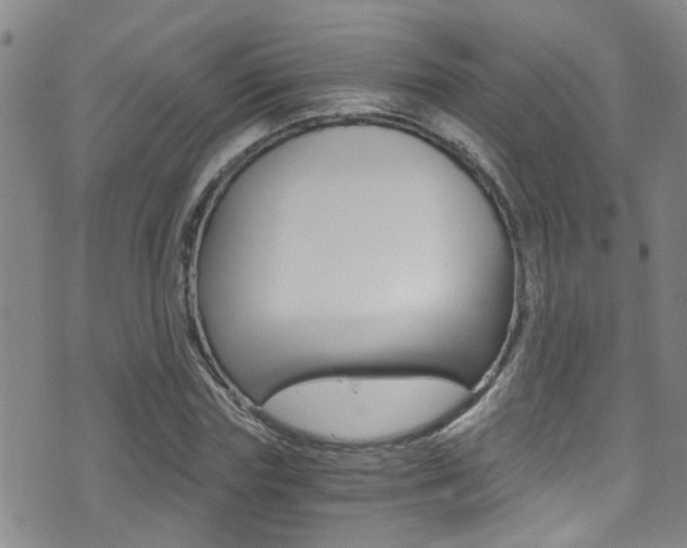 X0000071350827200606230800