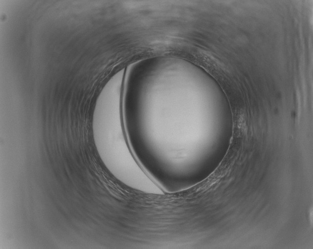 X0000071350868200606230759