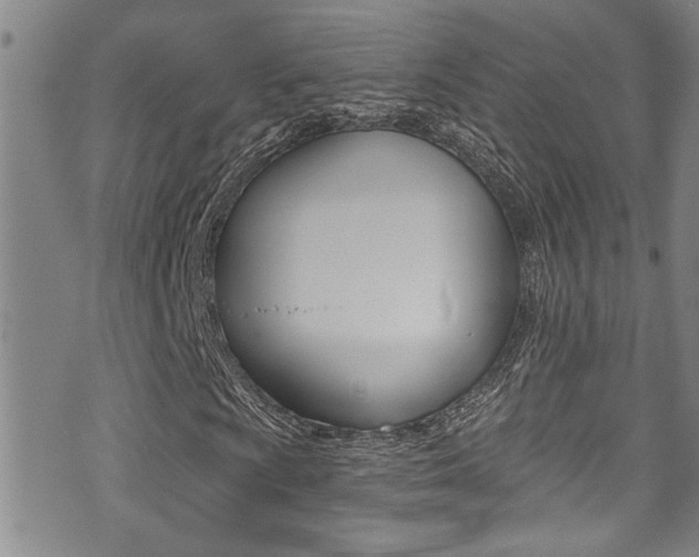 X0000071351009200606230756
