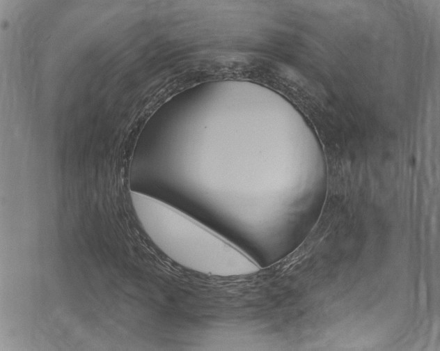 X0000071351013200606230756