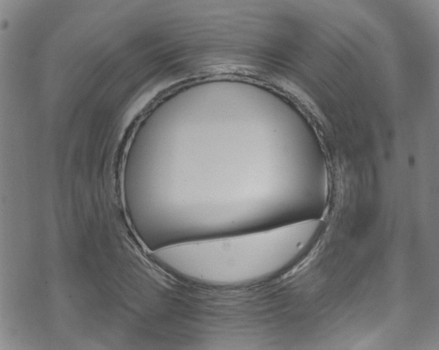 X0000071351023200606230756