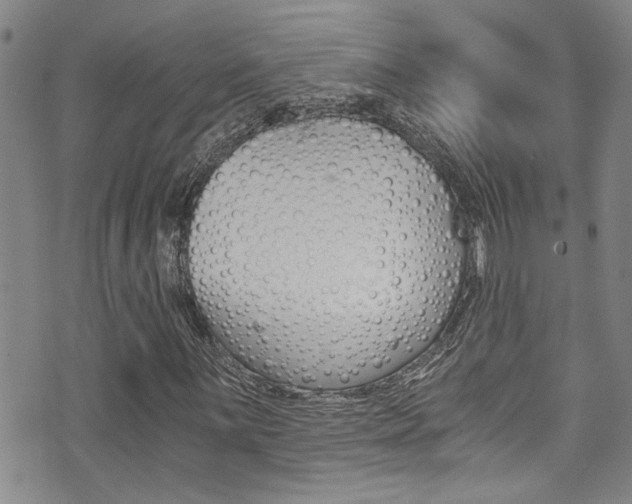 X0000071351059200606230756
