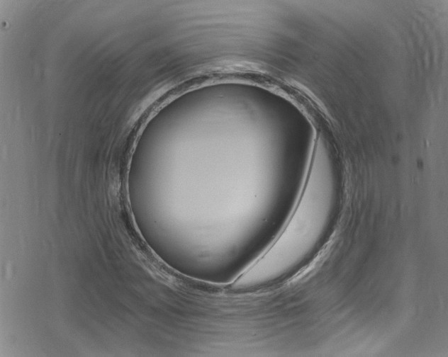 X0000071351065200606230756