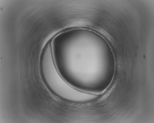 X0000071351077200606230756