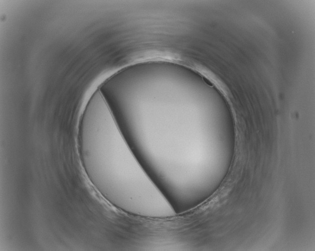 X0000071351104200606230755