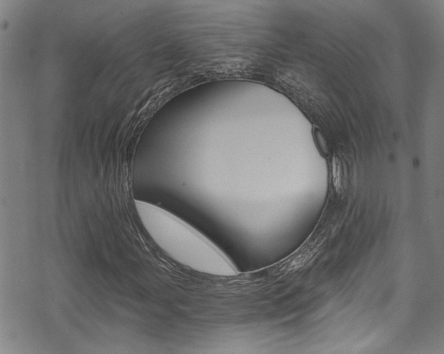 X0000071351107200606230755