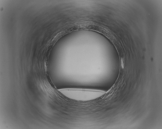 X0000071351155200606230755