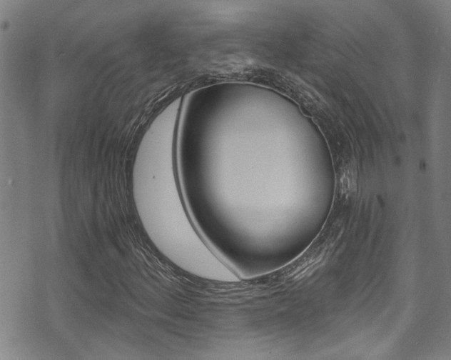 X0000071351156200606230755