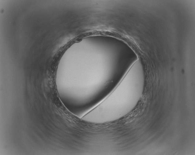 X0000071351159200606230755
