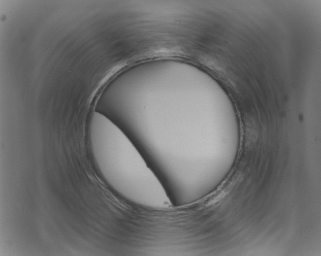 X0000071351170200606230754