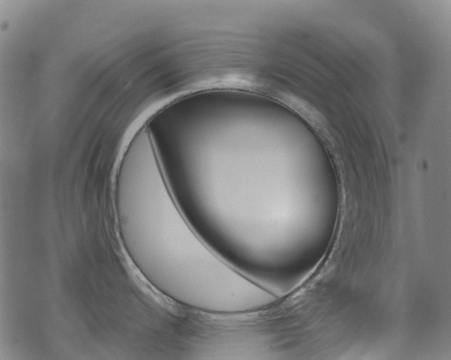 X0000071351200200606230754