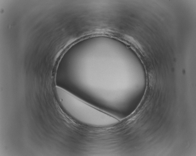 X0000071351260200606230753