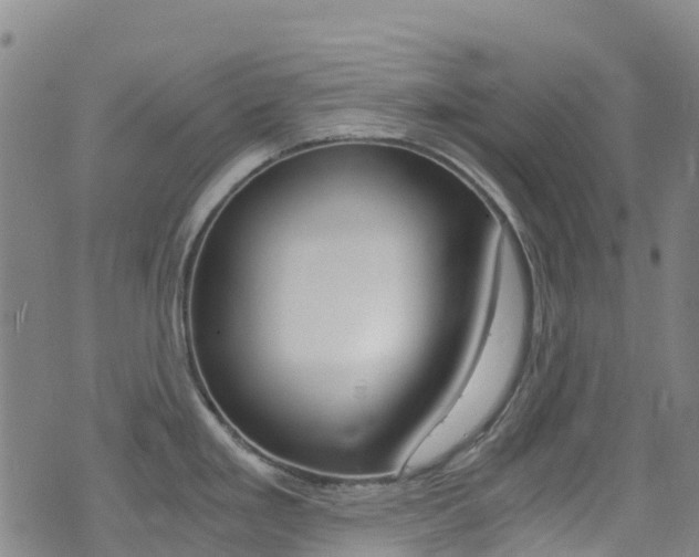 X0000071351293200606230752