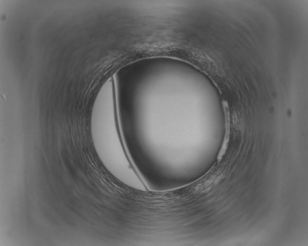 X0000071351300200606230752