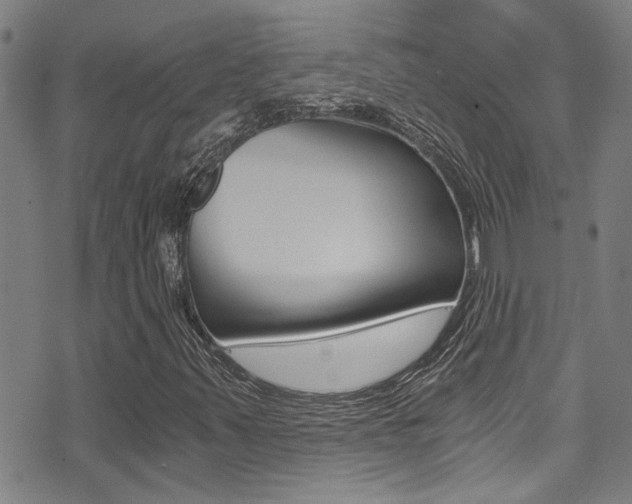 X0000071351347200606230752