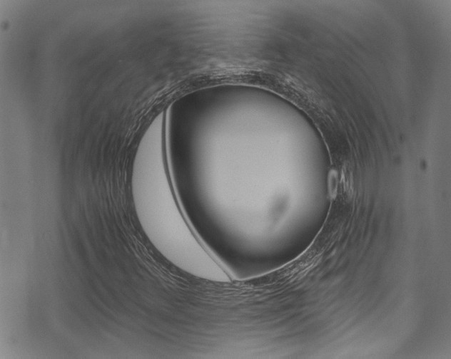 X0000071351348200606230752