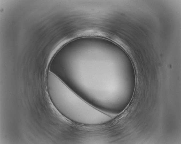 X0000071351392200606230751
