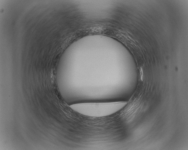X0000071351395200606230750